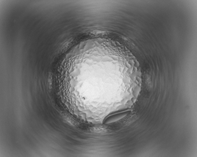 X0000060780668200512011640
