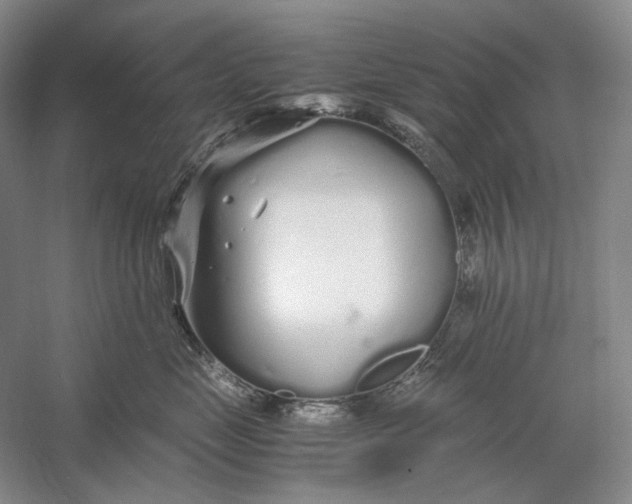 X0000060780669200512011640