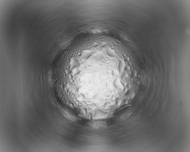 X0000060780670200512011640