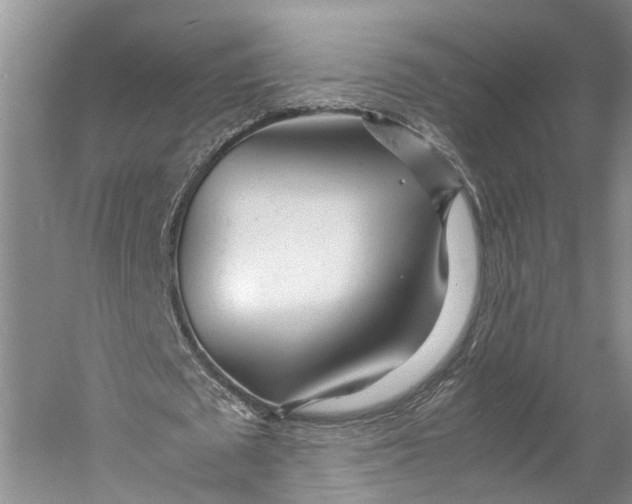 X0000060780673200512011639