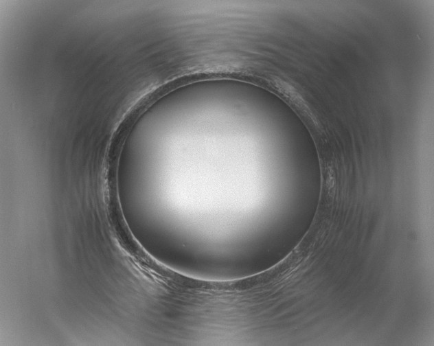 X0000060780676200512011639