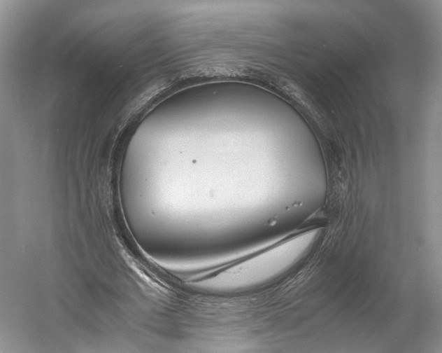 X0000060780677200512011639