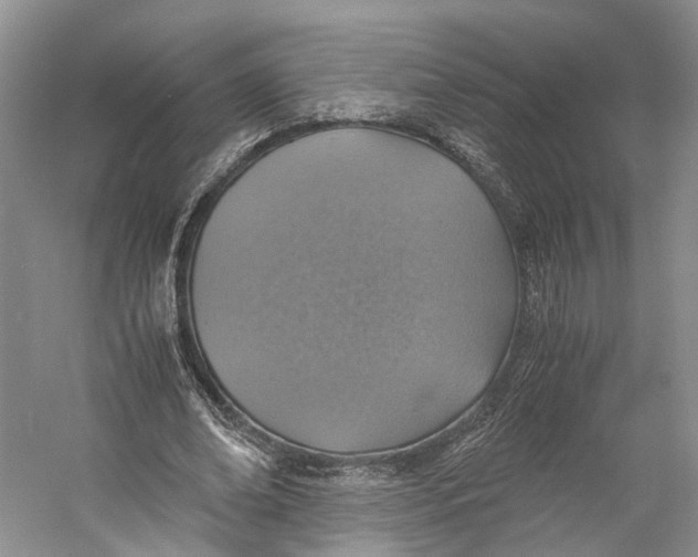 X0000060780678200512011639