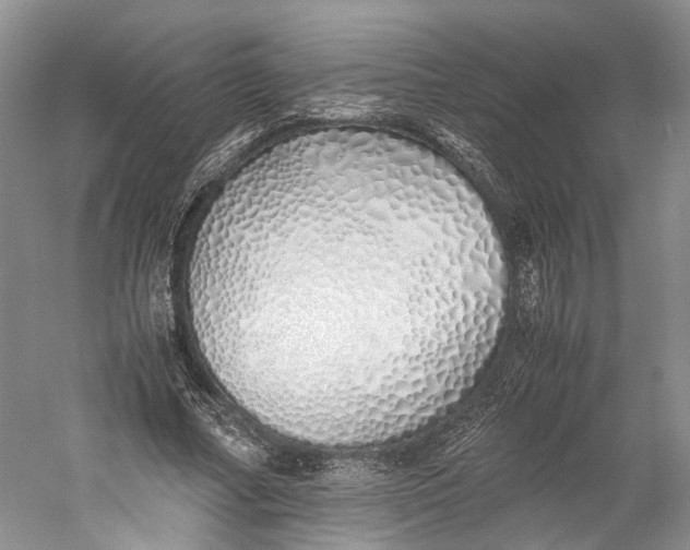X0000060780682200512011639