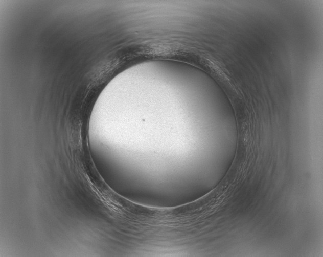 X0000060780685200512011639