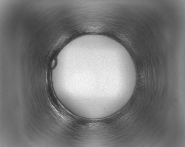 X0000060780686200512011639