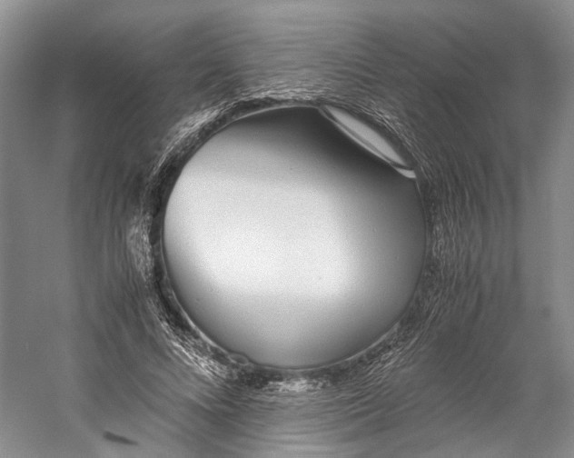 X0000060780688200512011639