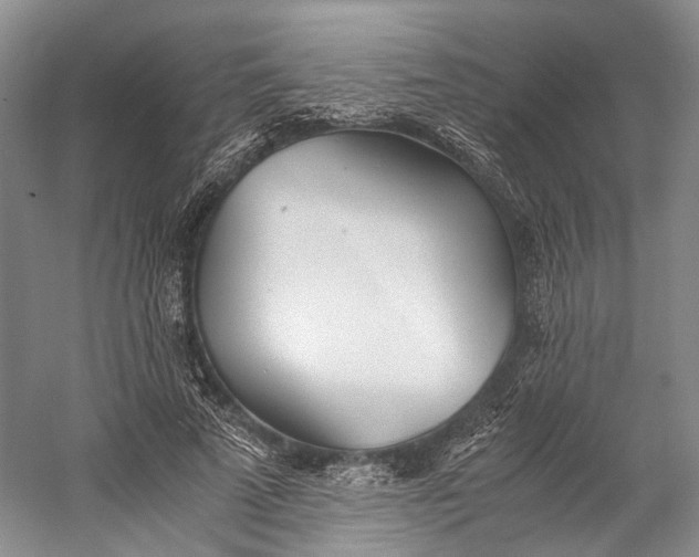 X0000060780689200512011639