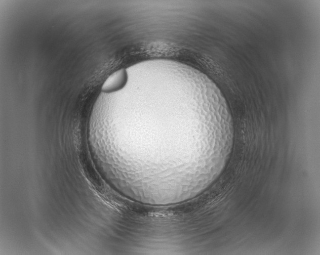 X0000060780690200512011639