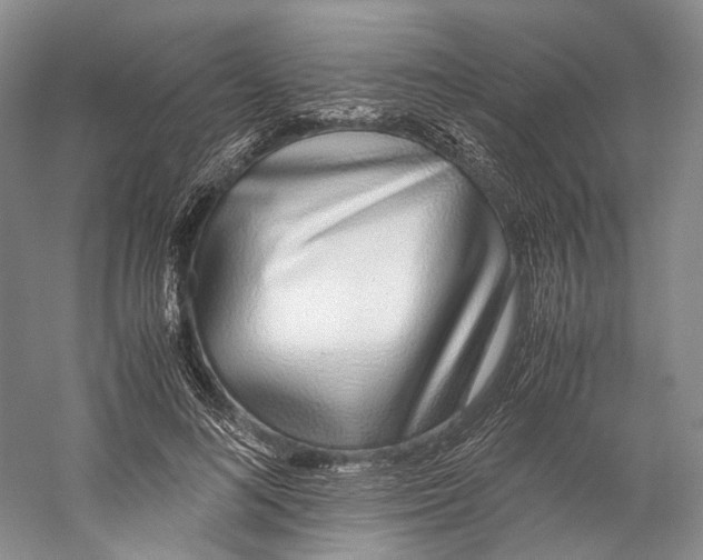 X0000060780692200512011639
