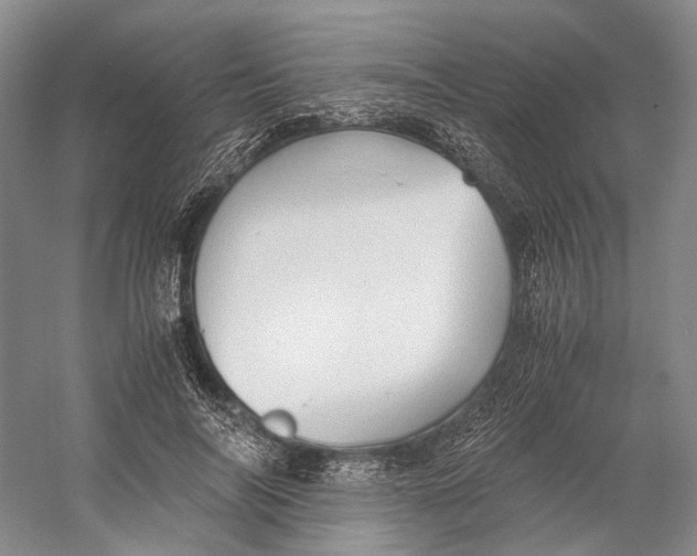 X0000060780694200512011639