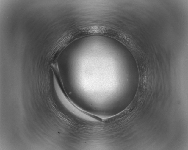 X0000060780696200512011639