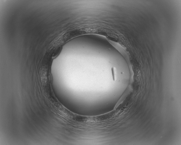 X0000060780697200512011639