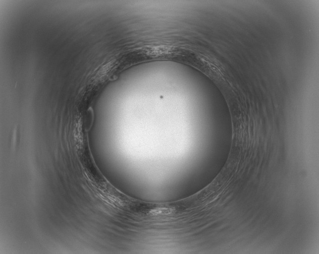 X0000060780700200512011639