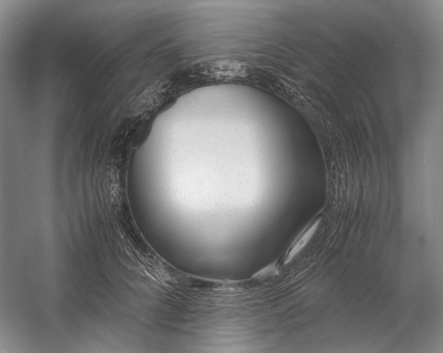 X0000060780704200512011639