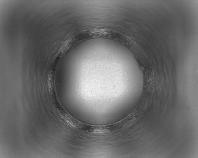X0000060780708200512011639