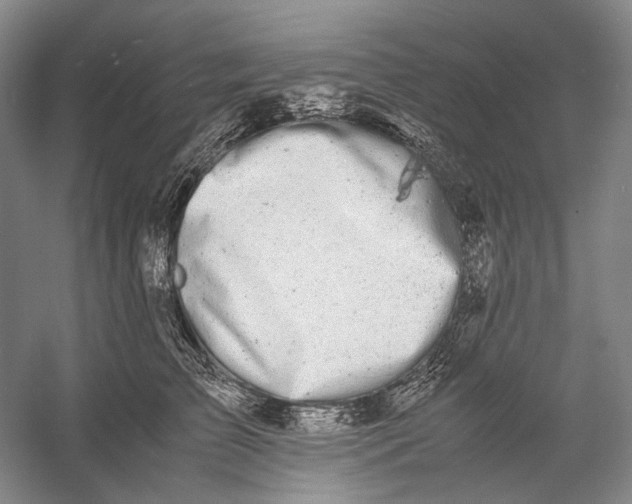 X0000060780709200512011639