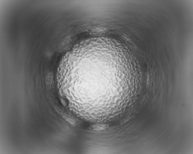 X0000060780711200512011639