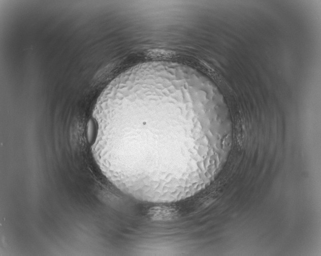 X0000060780714200512011639