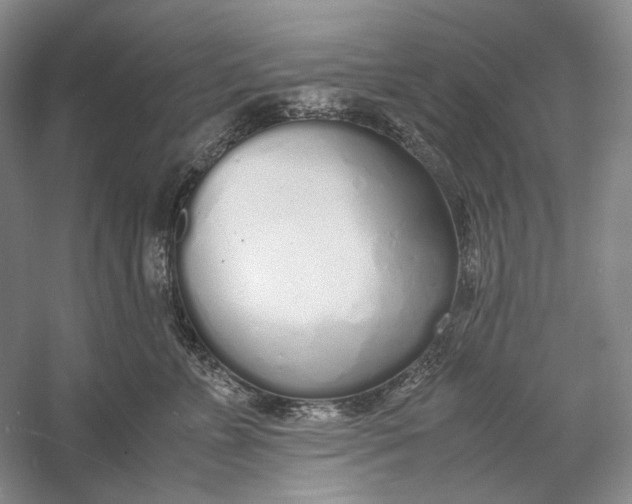 X0000060780715200512011639