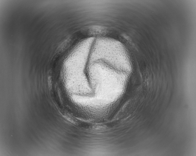 X0000060780716200512011639