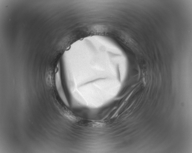 X0000060780718200512011638
