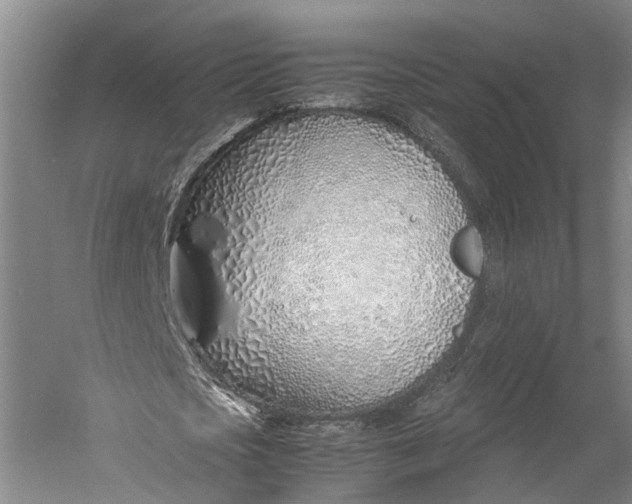X0000060780721200512011638