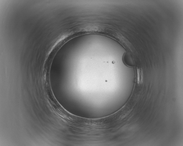 X0000060780723200512011638
