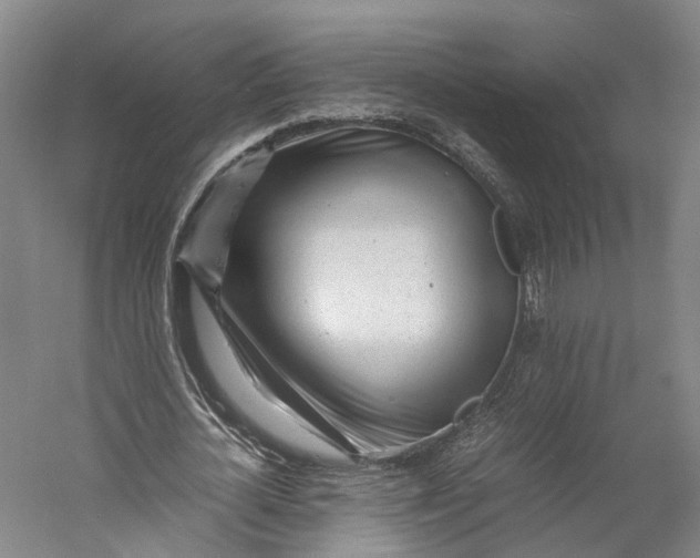 X0000060780724200512011638