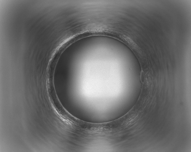 X0000060780728200512011638