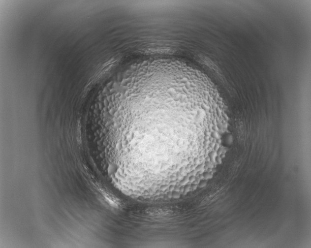X0000060780729200512011638
