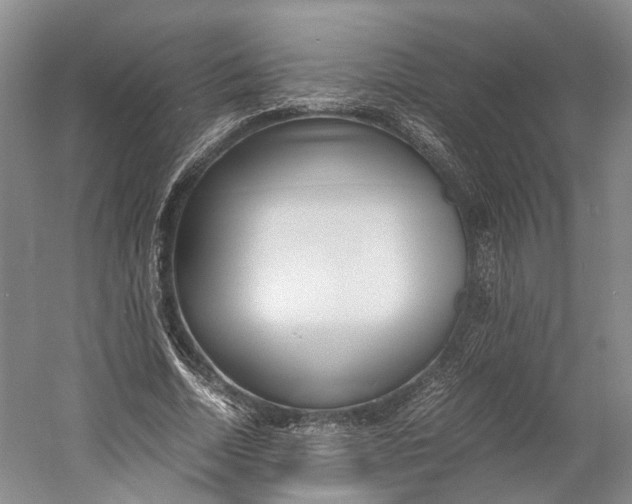 X0000060780730200512011638