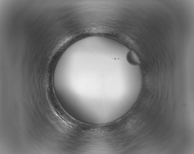 X0000060780732200512011638