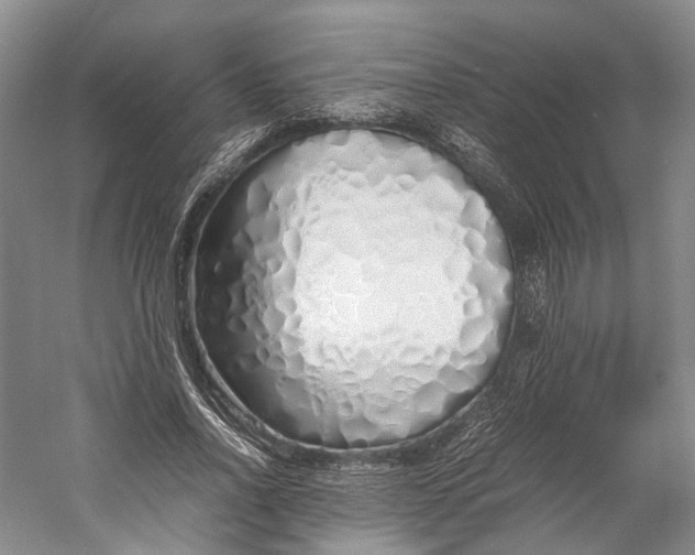 X0000060780734200512011638