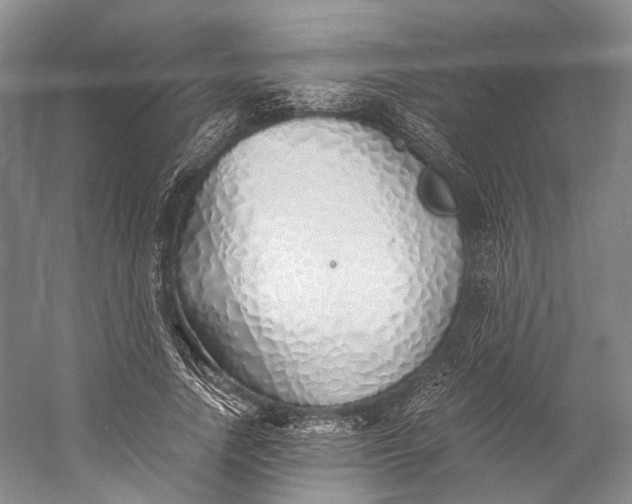 X0000060780738200512011638