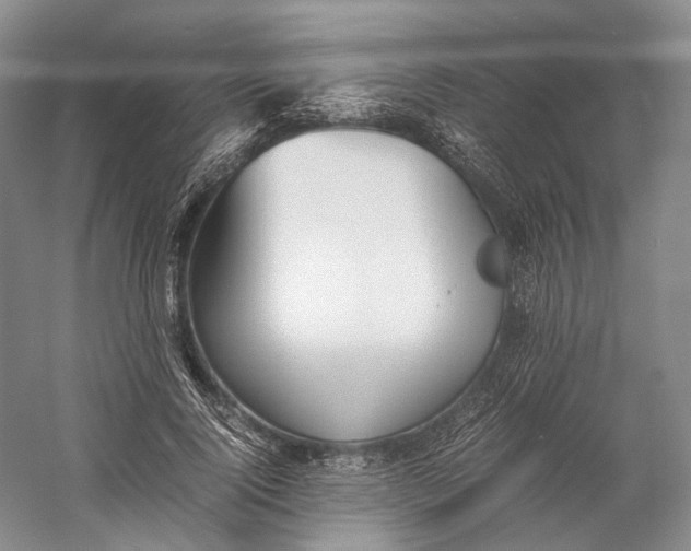 X0000060780740200512011638