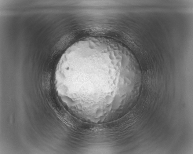 X0000060780742200512011638