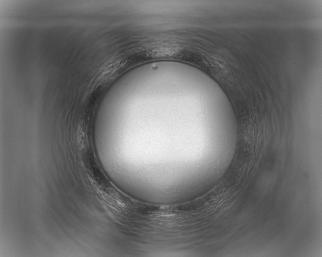 X0000060780743200512011638