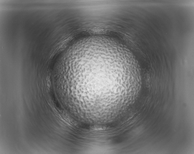 X0000060780746200512011638