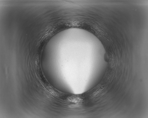 X0000060780747200512011638
