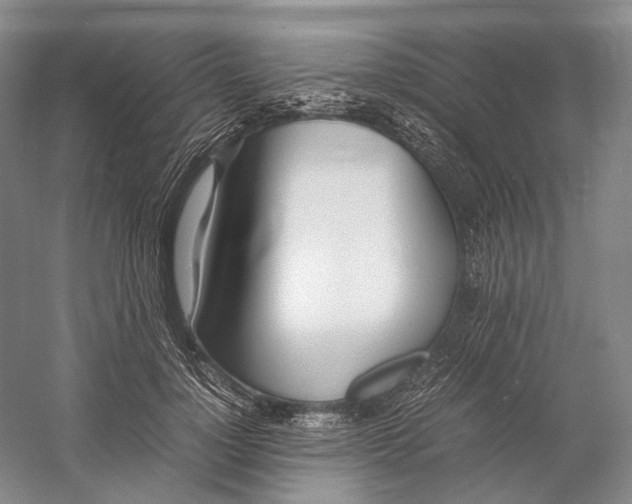 X0000060780748200512011638
