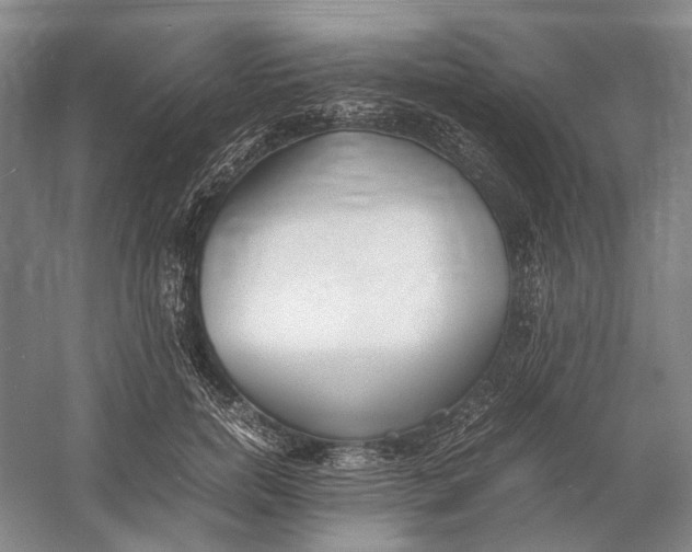 X0000060780750200512011638
