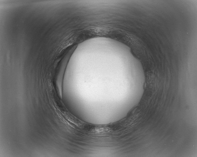 X0000060780752200512011638