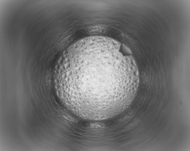 X0000060780753200512011638