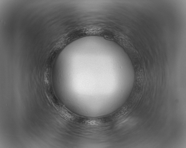 X0000060780755200512011638
