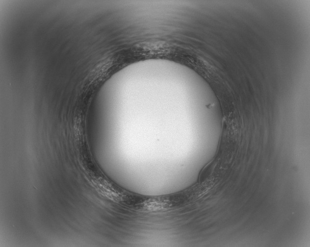 X0000060780756200512011638