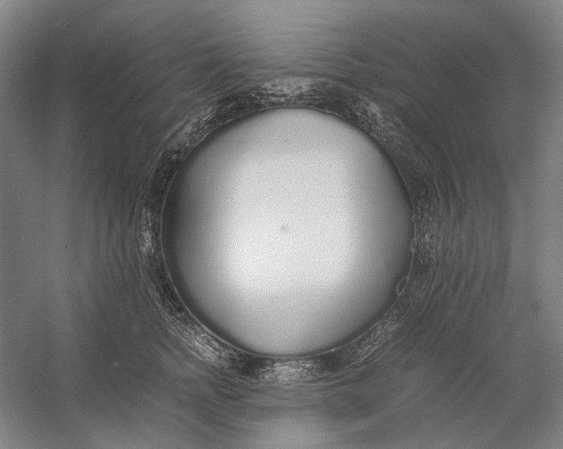 X0000060780758200512011638