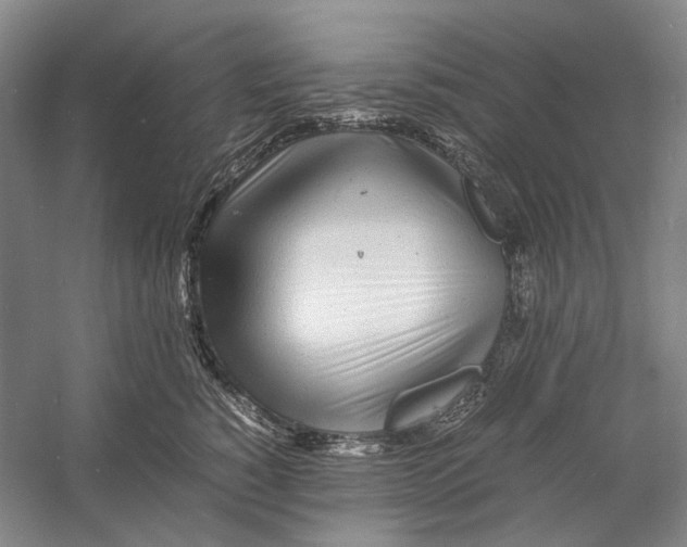 X0000060780760200512011638