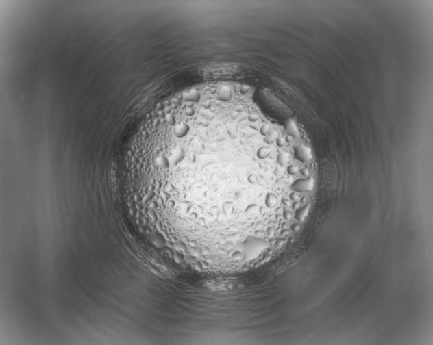 X0000060780761200512011638
