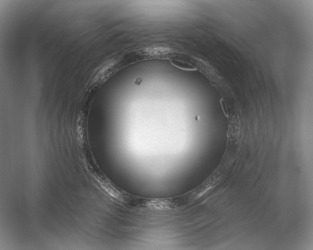 X0000060780762200512011638